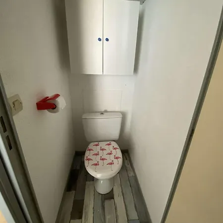 Apartment Climatise Avec Piscine, Terrasse Et Parking A 200m De La - - Fr-1-250-258 Le Grau-du-Roi