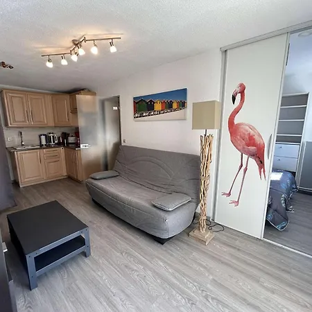 Apartment Climatise Avec Piscine, Terrasse Et Parking A 200m De La - - Fr-1-250-258 Le Grau-du-Roi